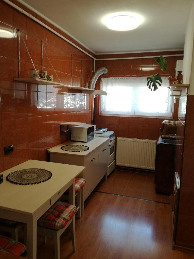 Sara Apartman Târgu-Mureş Eksteriør bilde